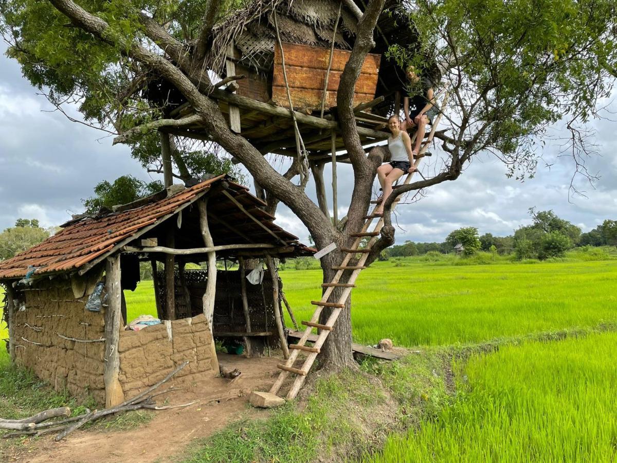Thilina Homestay Sigiriya Esterno foto