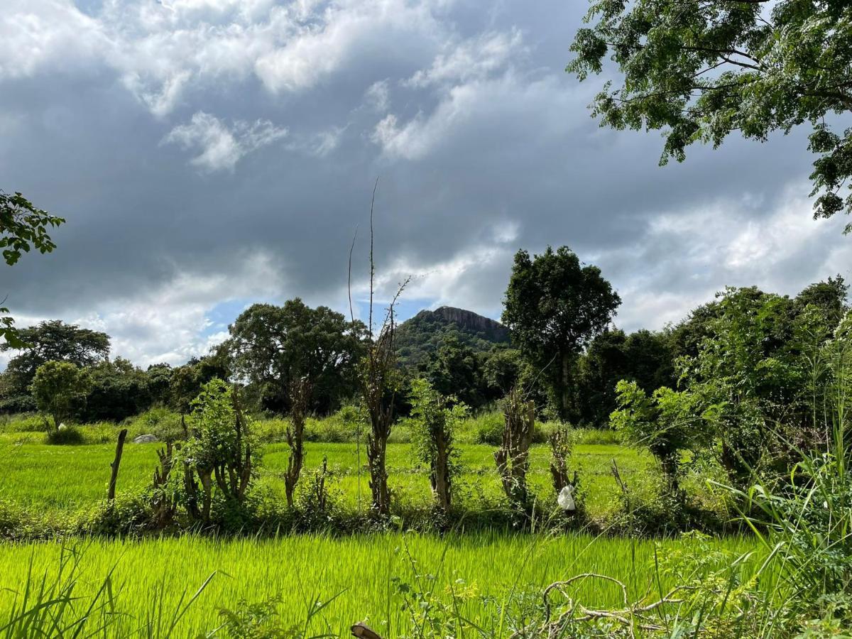 Thilina Homestay Sigiriya Esterno foto