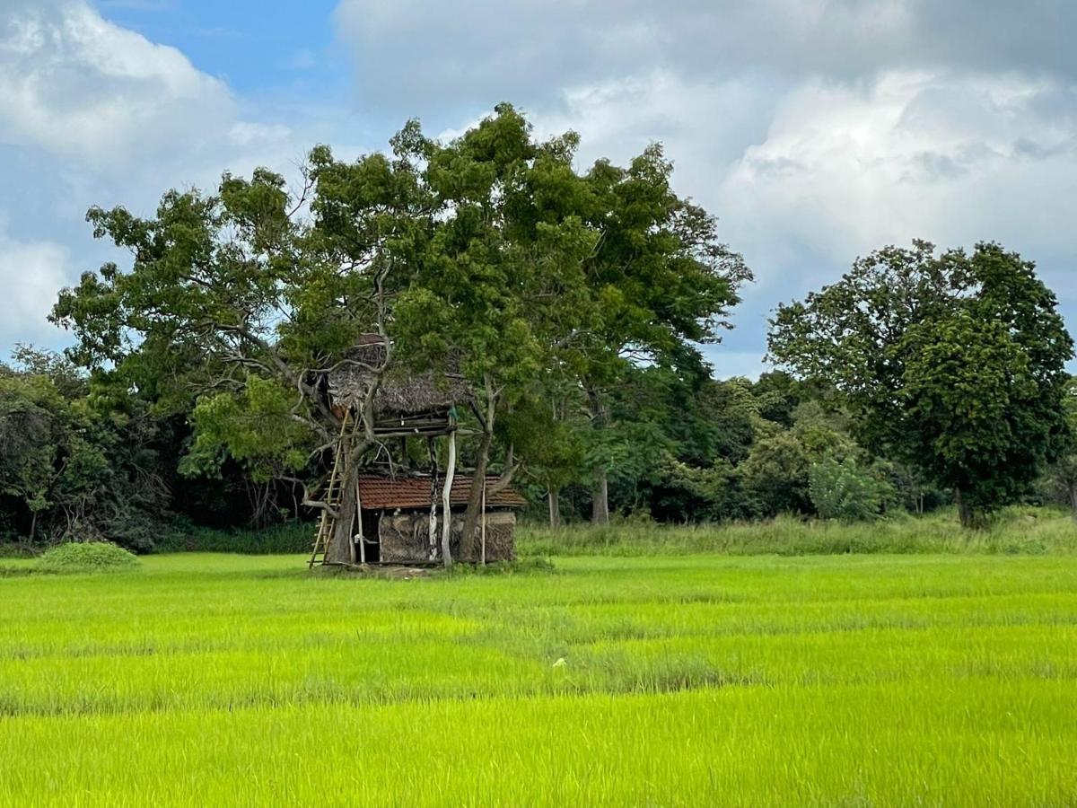 Thilina Homestay Sigiriya Esterno foto