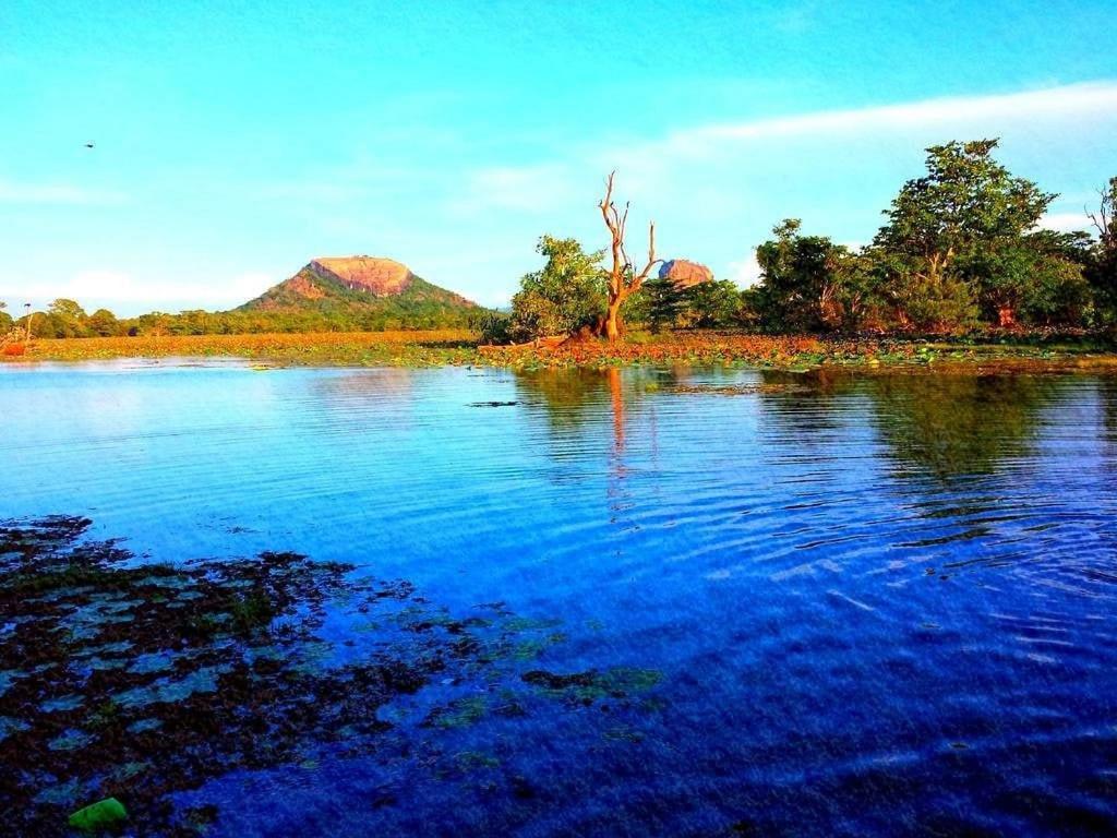 Thilina Homestay Sigiriya Esterno foto