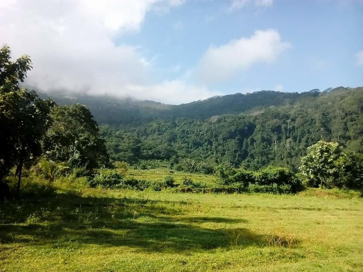Thilina Homestay Sigiriya Esterno foto